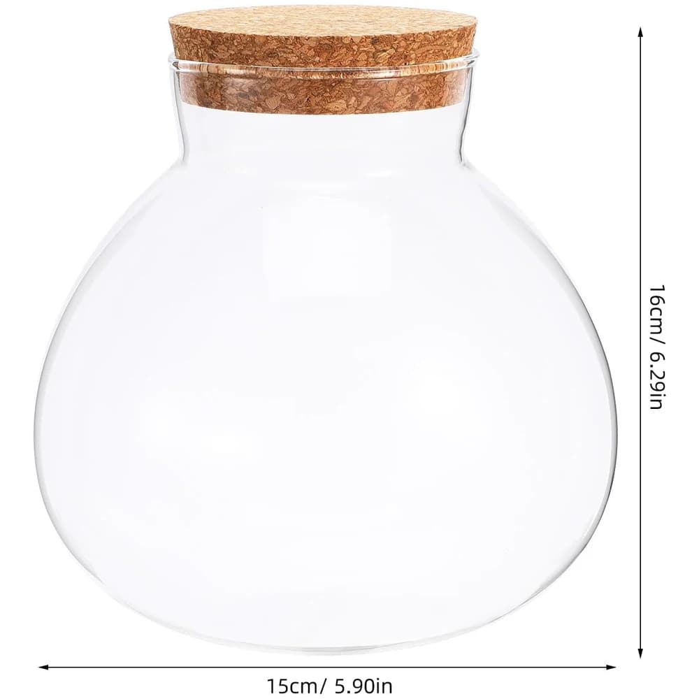 Terrarium en verre avec couvercle en liège, 6x6,3 pouces, terrarium fermé pour plantes succulentes, 